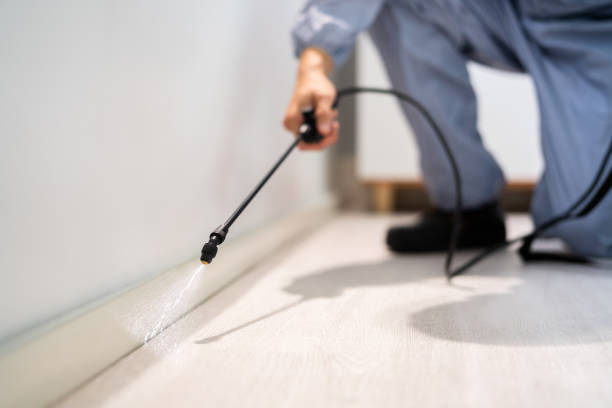 Rodent Entry Point Assessment in Ukiah
