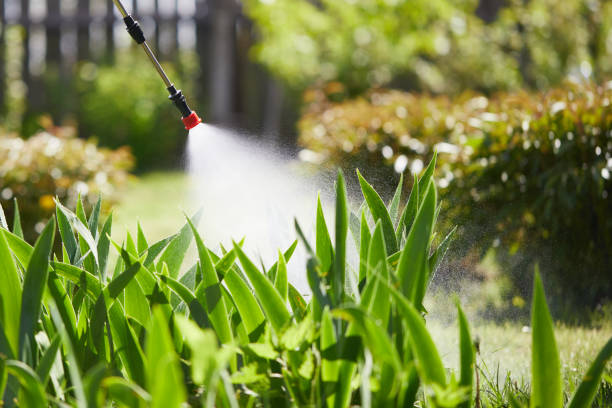 Tamper-Resistant Bait Stations for Rodents in Ukiah