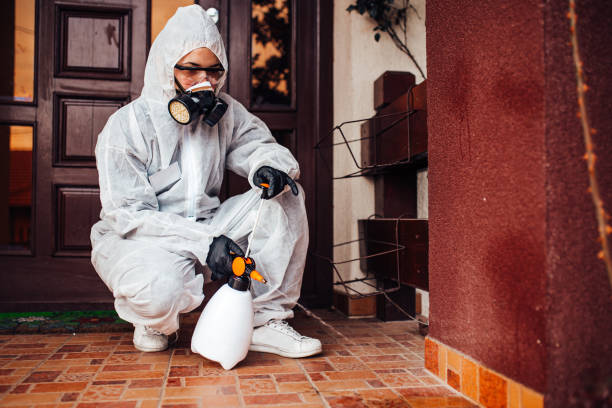 Attic and Crawl Space Rodent Treatment in Ukiah